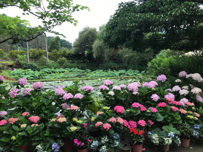 玉荷園休閒渡假民宿